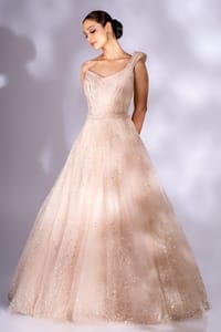 Peachish Pink Shimmery Tulle Gown With Self Coloured And Silver Hand Embroidery.